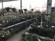 OBI Markt Forchheim - OBI Forchheim Freigelände 2020