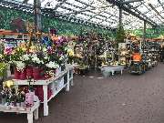 OBI Markt Forchheim - OBI Forchheim Innenpflanzen