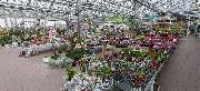 OBI Markt Forchheim - OBI Gartencenter Forchheim