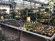 OBI Markt Forchheim - Unsere Kalthalle 2020