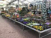 OBI Markt Forchheim - Unsere Kalthalle 2020