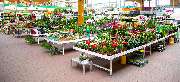 OBI Markt Forst - OBI Gartencenter Forst