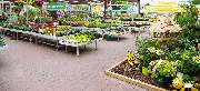 OBI Markt Forst - OBI Gartencenter Forst