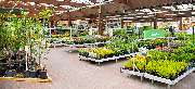 OBI Markt Forst - OBI Gartencenter Forst
