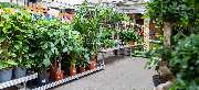 OBI Markt Frankfurt-Sachsenhausen - OBI Gartencenter Frankfurt-Sachsenhausen