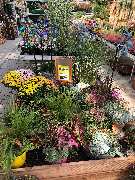 OBI Markt Freiburg Süd - Alles machbar mit OBI