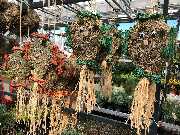 OBI Markt Freiburg Süd - Alles was das 