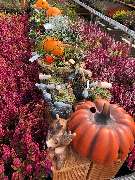 OBI Markt Freiburg Süd - Für ein grüneres Freiburg!