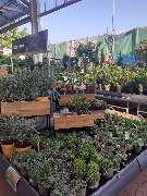 OBI Markt Friedrichshafen - GALLERY