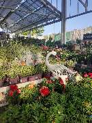 OBI Markt Friedrichshafen - GALLERY