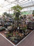 OBI Markt Friedrichshafen - GALLERY