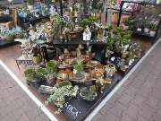 OBI Markt Friedrichshafen - GALLERY