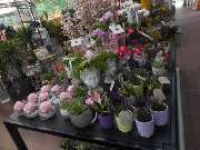 OBI Markt Friedrichshafen - GALLERY