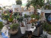 OBI Markt Friedrichshafen - GALLERY