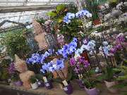 OBI Markt Friedrichshafen - GALLERY