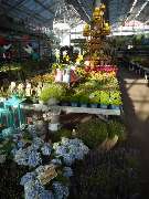 OBI Markt Friedrichshafen - GALLERY