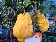 OBI Markt Friedrichshafen - GALLERY