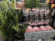 OBI Markt Friedrichshafen - GALLERY