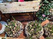 OBI Markt Friedrichshafen - GALLERY