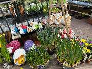 OBI Markt Friedrichshafen - GALLERY