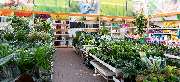OBI Markt Fulda - OBI Gartencenter Fulda