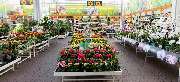 OBI Markt Fulda - OBI Gartencenter Fulda