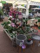 OBI Markt Garbsen - Gartenparadies OBI