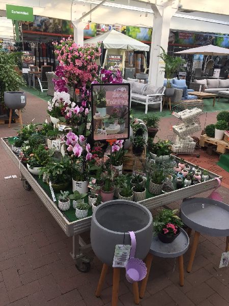 OBI Markt Garbsen - Gartenparadies OBI