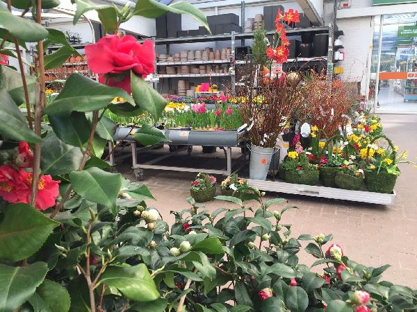 OBI Markt Garbsen - Gartenparadies OBI