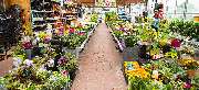 OBI Markt Gardelegen - OBI Gartencenter Gardelegen