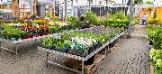 OBI Markt Geislingen - OBI Gartencenter Geislingen an der Steige