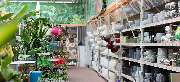 OBI Markt Giengen / Brenz - OBI Badplaner Giengen-Brenz