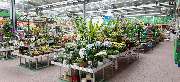 OBI Markt Giengen / Brenz - OBI Badplaner Giengen-Brenz