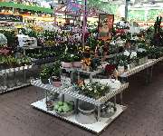 OBI Markt Giengen / Brenz - OBI Gartencenter Giengen-Brenz