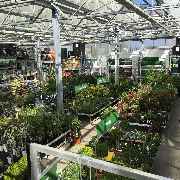 OBI Markt Giengen / Brenz - OBI Markt-Eingang Giengen-Brenz