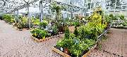 OBI Markt Gießen - OBI Gartencenter Gießen-Süd