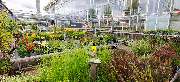 OBI Markt Gießen - OBI Gartencenter Gießen-Süd