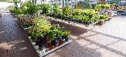 OBI Markt Gießen-West - OBI Gartencenter Gießen-West