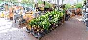 OBI Markt Gießen-West - OBI Gartencenter Gießen-West