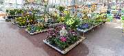 OBI Markt Gießen-West - OBI Gartencenter Gießen-West