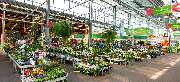 OBI Markt Glinde - OBI Gartenplaner Glinde