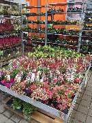 OBI Markt Greding - Der Herbst in seiner vollen Pracht bei OBI Greding!