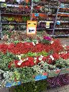 OBI Markt Greding - Der Herbst in seiner vollen Pracht bei OBI in Greding!