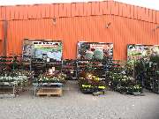 OBI Markt Greding - Der Herbst in seiner vollen Pracht bei OBI in Greding