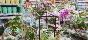 OBI Markt Greding - OBI Gartencenter Greding