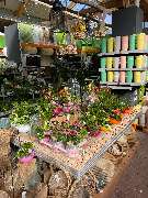 OBI Markt Greding - Wiedereröffnung 01.03.2021