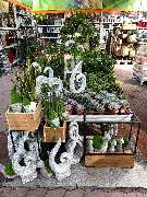 OBI Markt Greding - Wiedereröffnung 01.03.2021