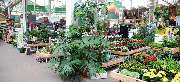 OBI Markt Grimma - OBI Gartencenter Grimma