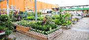 OBI Markt Grimma - OBI Gartencenter Grimma