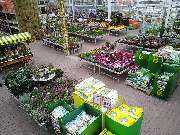 OBI Markt Grimma - Unsere farbenfrohe Kalthalle